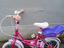 Immagine 2