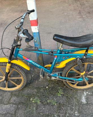 Bici anni 70/80 chiorda skylab
