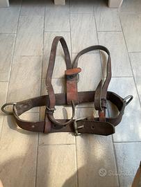 Spallacci imbragatura militare