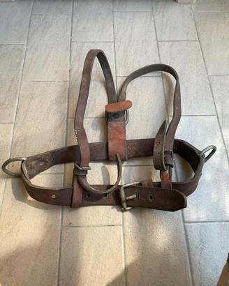 Spallacci imbragatura militare