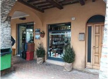 RGE 46/2024 Trib Pesaro - LOTTO 1