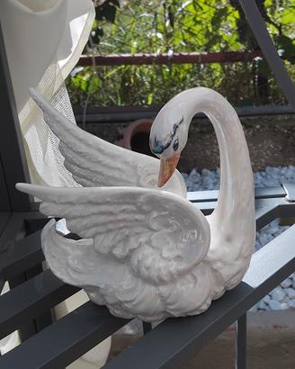 cigno porcellana 