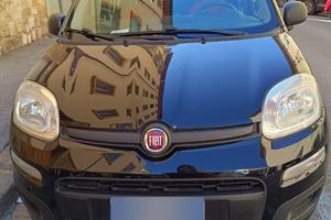 Fiat Panda Easy 1.2 Benzina – 12/2016 – 88.000 km