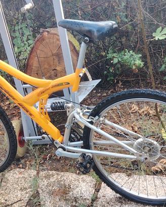 biciclette