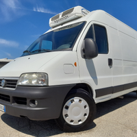 Ducato frigo venduto