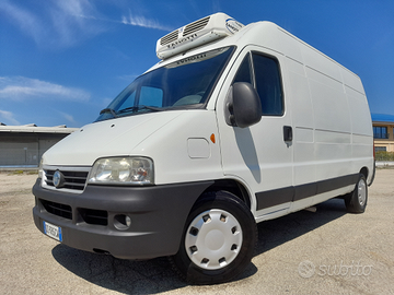 Ducato frigo venduto