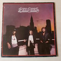 Vinile BEE GEES