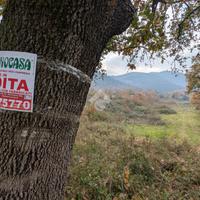 TERRENO A ROCCHETTA E CROCE