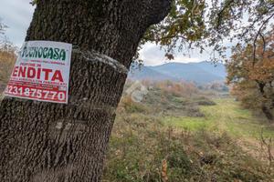 TERRENO A ROCCHETTA E CROCE