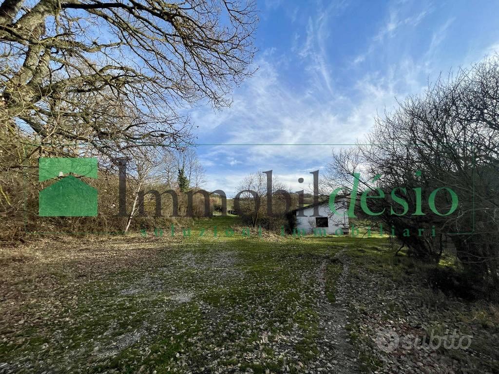 Rustico / Casale di 332 m² con più di 5 locali e b - Vista 3