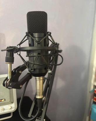 Microfono Tonor TC20 +   Behringer U-phoria UM2