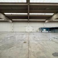 CAPANNONE A OSPITALETTO