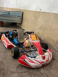 Easykart 100cc