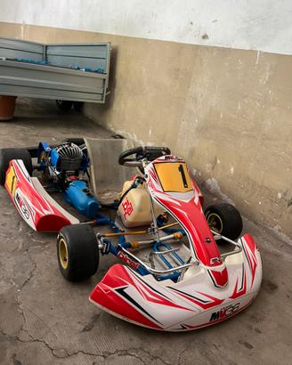 Easykart 100cc