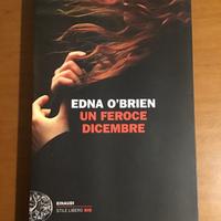 Un feroce dicembre, romanzo