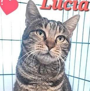 LUCIA una vita difficile