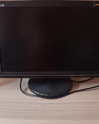 Monitor ASUS 50Hz