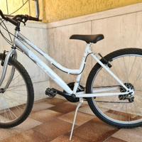 MTB donna 26