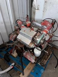 Motore iveco turbo 8040.25