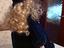 Immagine 5