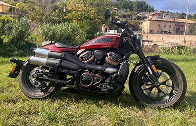 Harley-Davidson Sportster S 1250 anno 2024