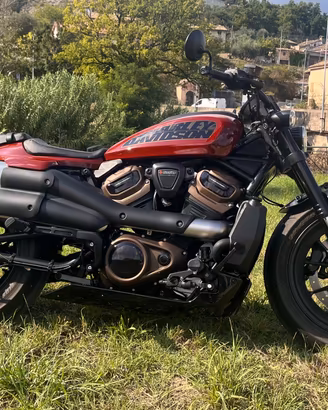 Harley-Davidson Sportster S 1250 anno 2024