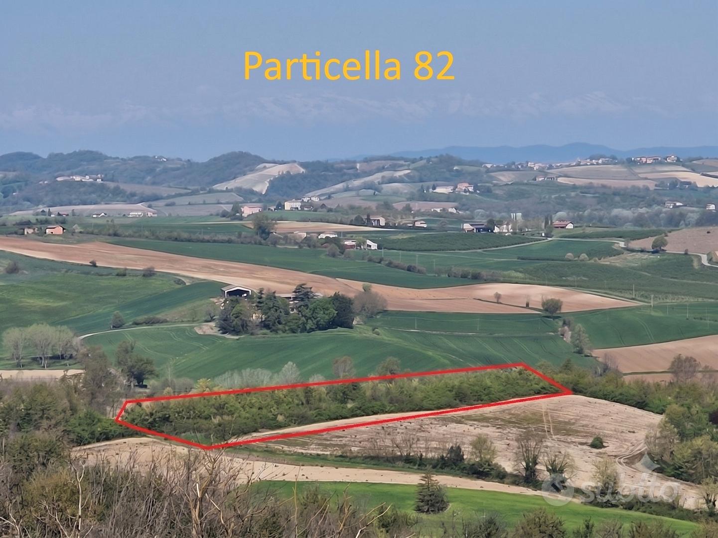 Terreni Agricoli Camagna Monferrato (AL) - Vista 5