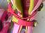 Immagine 2