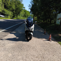 Honda forza 350 delux