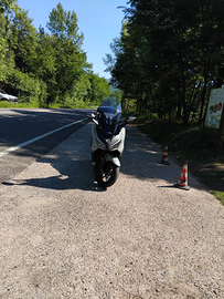 Honda forza 350 delux