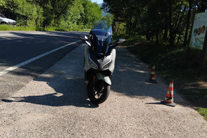 Honda forza 350 delux