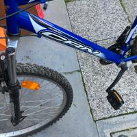 Bicicletta mtb carnielli 800