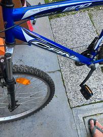 Bicicletta mtb carnielli 800