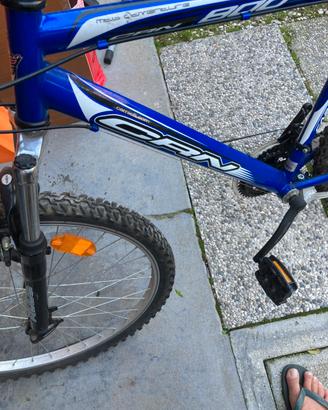 Bicicletta mtb carnielli 800