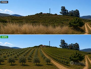Donori: Terreno Agricolo 4 ettari cespugliato