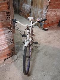 Bicicletta Lilla'