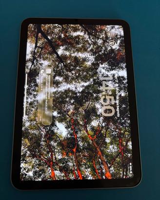 Ipad mini a17pro