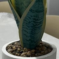 Pianta artificiale con vasetto