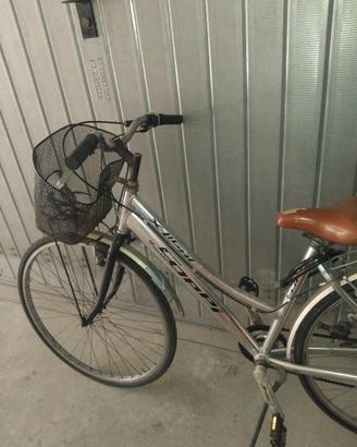 bici donna