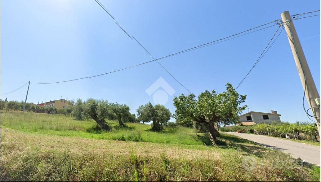 TER. AGRICOLO A MONTENERO DI BISACCIA - View 6
