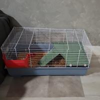 Gabbia conigli e roditori 