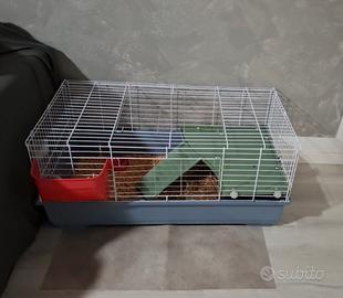 Gabbia conigli e roditori 