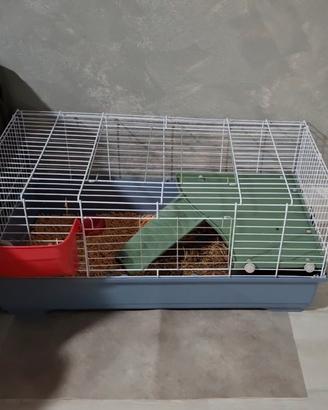 Gabbia conigli e roditori 