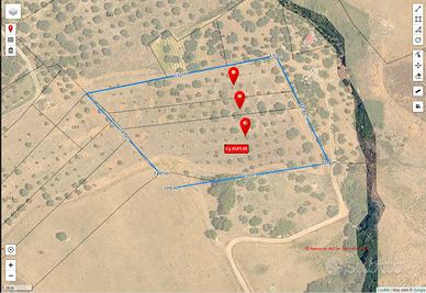 Terreno Agricolo di mq 8700 coltivato ad uliveto