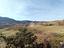 Immagine 25