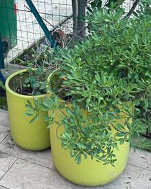 ampi vasi da giardino