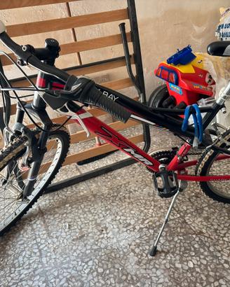 Bici per ragazzo shark bay
