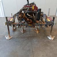 Coltivatore interfilare CARTERSTRAIN