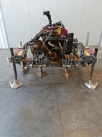 Coltivatore interfilare CARTERSTRAIN