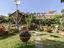 Immagine 25
